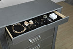 Logan-Silver Chest