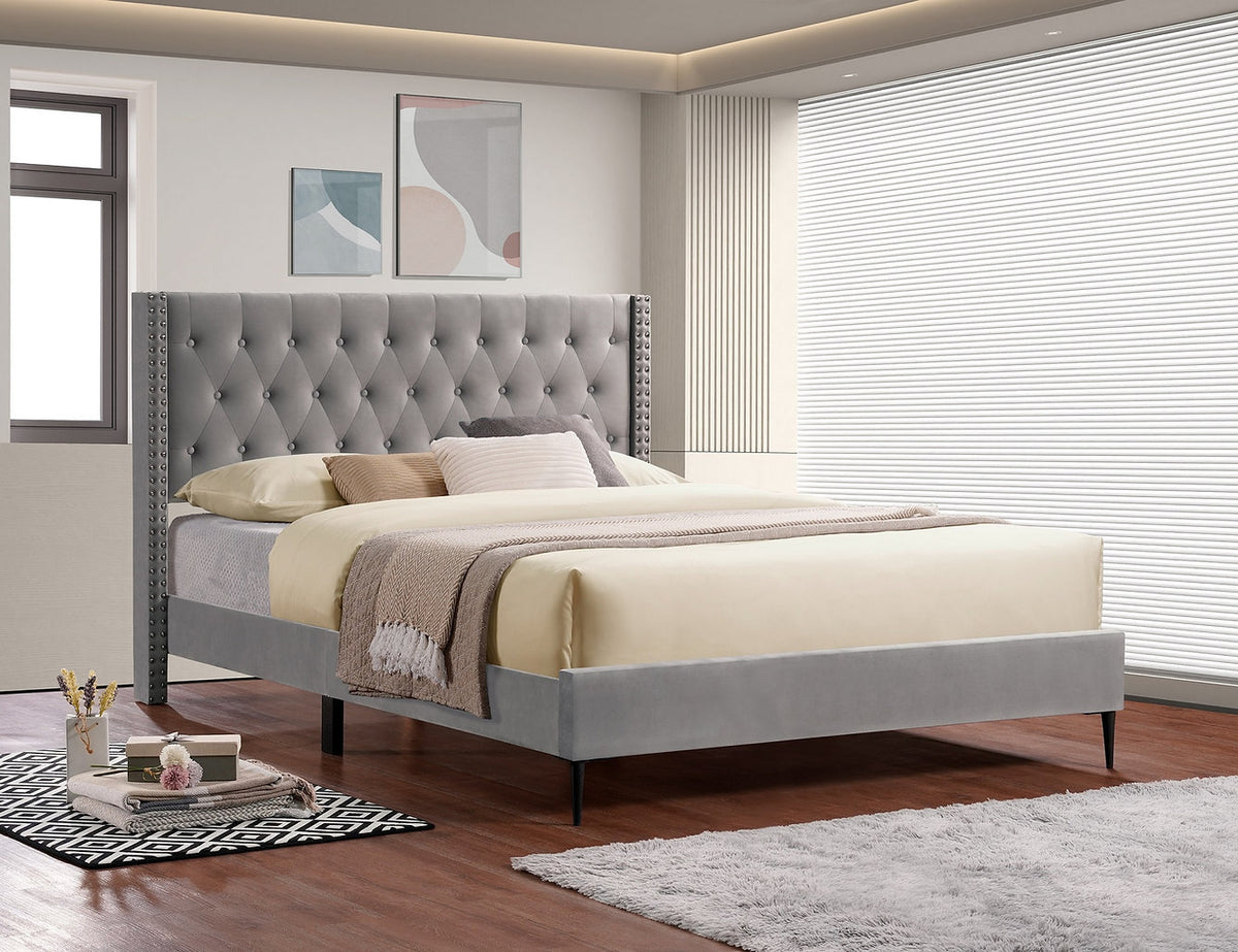 Bed Grey-IF-5590