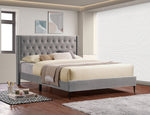 Bed Grey-IF-5590