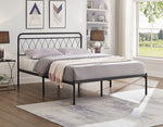 Bed Black-IF-152