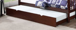 Bunk Bed-B 121