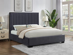 Bed Black-IF 5545
