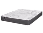 Accord 39"-XL Mattress