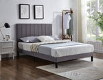 Bed Grey-IF 5363