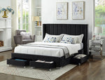 Bed Black-IF 5313