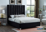 Bed Black-IF 5621