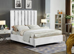 IF 5622 60" Queen Bed (Creme)