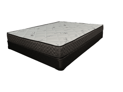 Dreamopedic - Comfort Tight Top Mattress